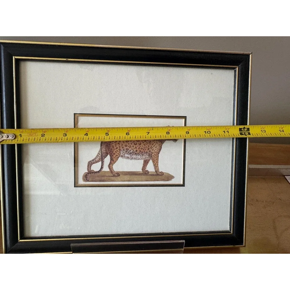 Vintage Black and Gold Animal Leopard Print Framed 12 x 10